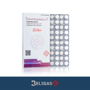 T4 100 mcg x 100 tabs